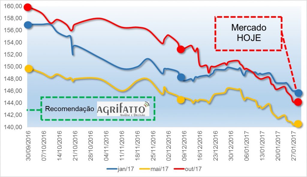 grafico agrifatto