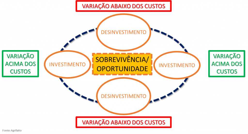 A trajetória elíptica dos resultados na pecuária.